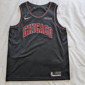 AUTHENTIC Chicago Bulls Nike Blank Jersey